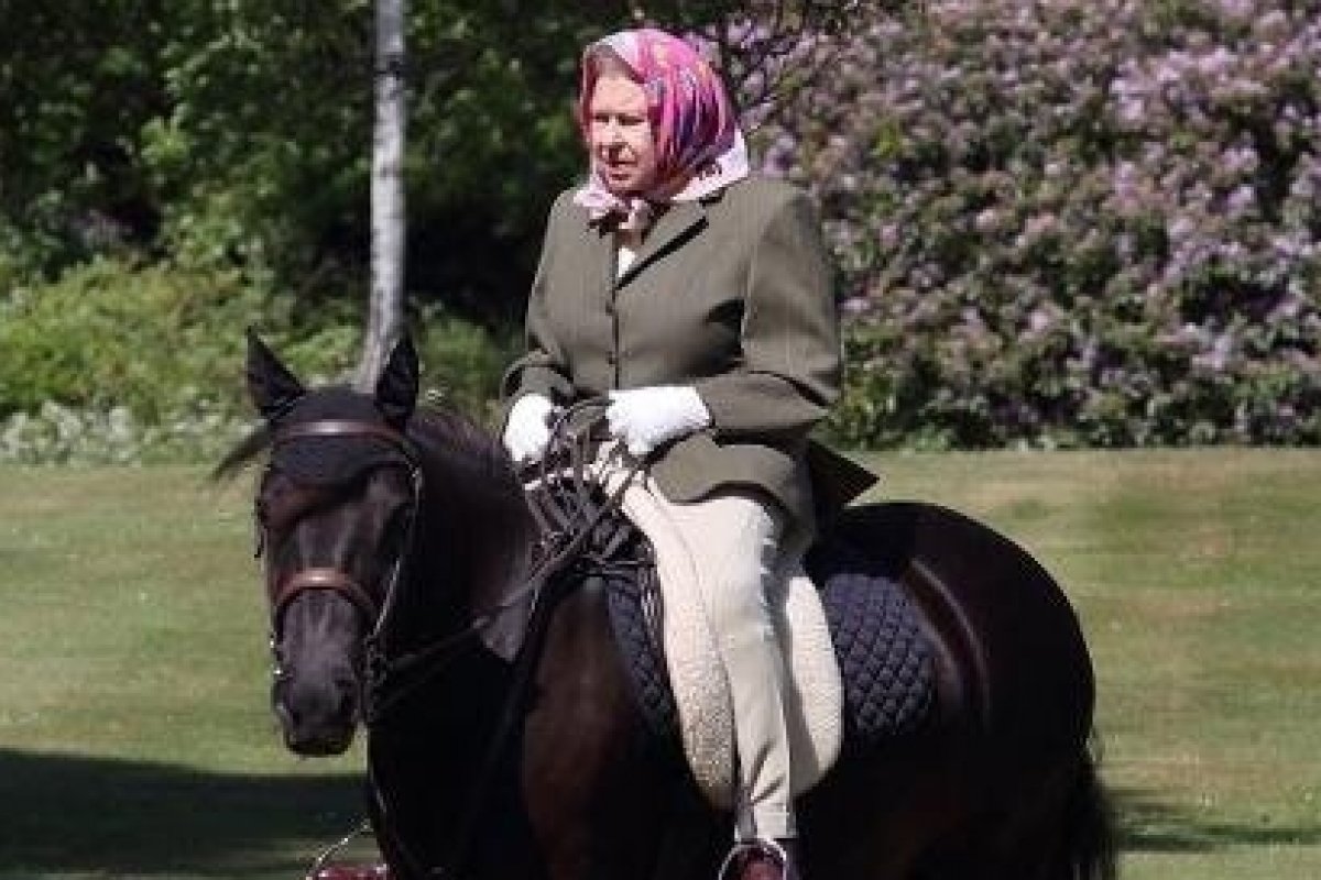 Aos 94 anos, Rainha Elizabeth II aparece andando de cavalo no parque do Castelo de Windsor ...